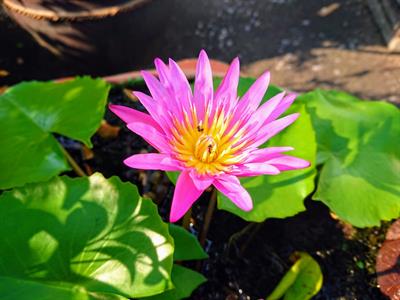 18fac99e1b40c122fe328d9c5aa7-1592431.jpg!d