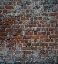 1200pxBrickwallbackground5322w724.jpg