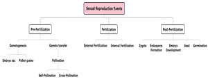 SexualReproductionEvents1xw1754w1567.png