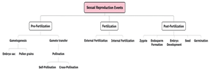 SexualReproductionEvents1xw843.png