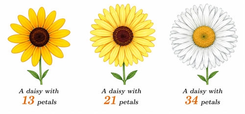 Flower.png