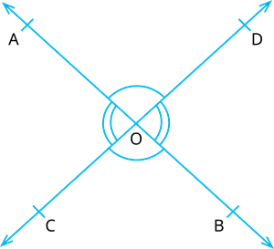 YCIND_240306_6084_lines and angles_22.png