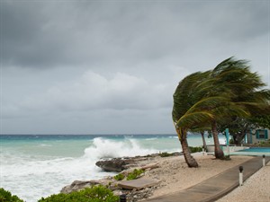 shutterstock662161621.jpg