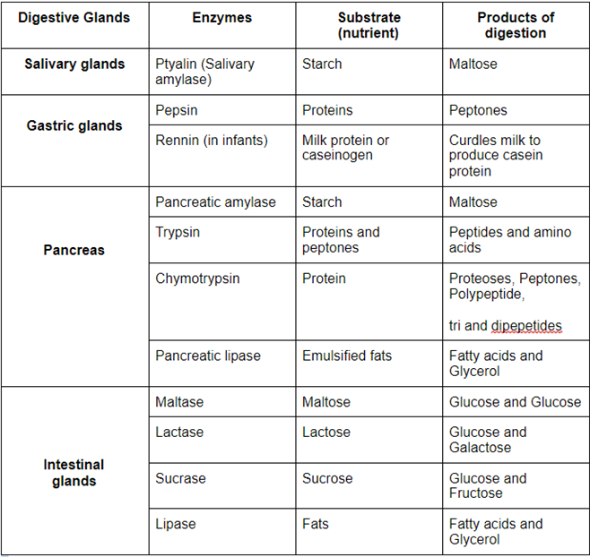 Screenshot 2021-03-11 170042.png