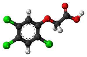 800px-2,4,5-Trichlorophenoxyacetic-acid-3D-balls.png