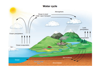 watercycle.png