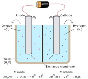 ElectrolysisofWater.jpg