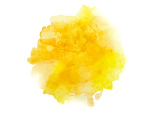 Turmeric3.jpg