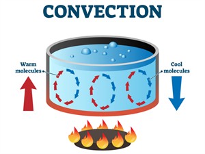 shutterstock1636131082 (1).jpg