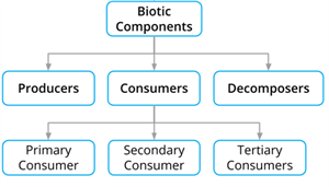 Screenshot20210914154035 (1).png