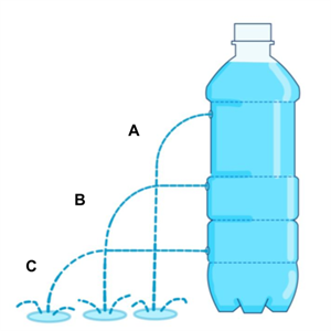 DesigningBioDivya3 bottol.png