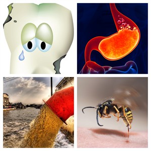 BeFunky-collage neutralisation.jpg