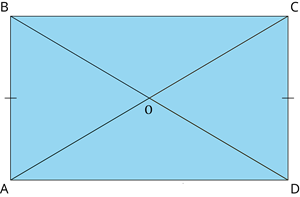 YCIND2608028397Quadrilaterals3.png