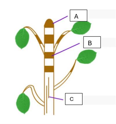 Screenshot 2024-08-27 122421.jpg