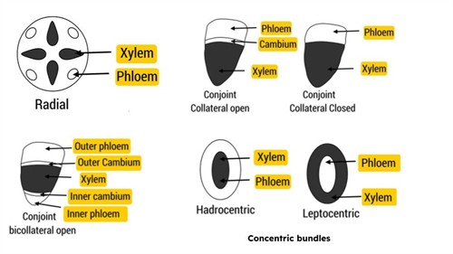 Class 7 Chapter 10 NCERT Exempler (1).jpg