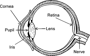 eye1.png