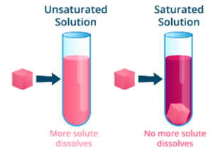 saturated and unsaturated.png