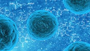 bacteria-163711.jpg