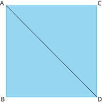 YCIND_260731_8395_Quadrilaterals_11.png