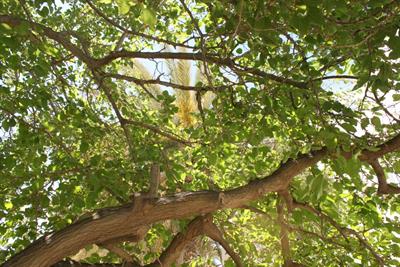 fa3f2e39581417dbe9f3c518a4ba-1638242.jpg!d