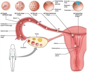 4073861331587ab484e7ow658 (1).jpg