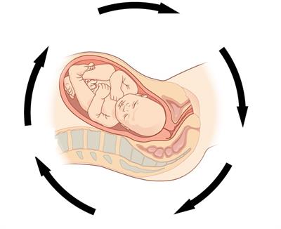 PositiveFeedback question.jpg