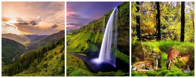 BeFunky-collage (1).jpg