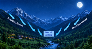 3e77172d-7ef9-4c72-9e01-eb69af4c1611.png