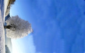 WhatsApp Image 2025-12-17 at 12.41.58 (1).jpeg