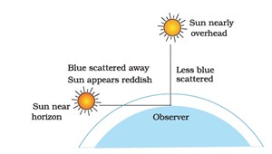 Sun.jpg