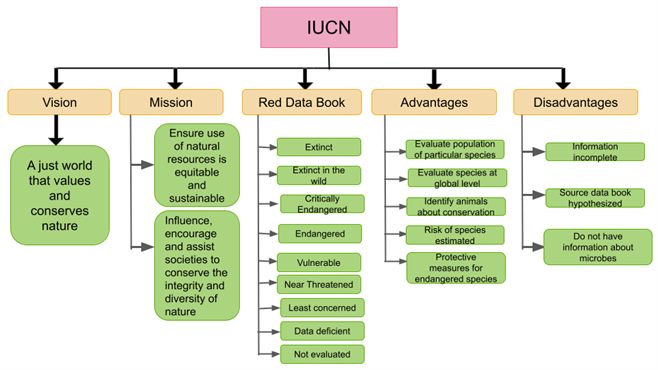 Untitled presentation (17).png