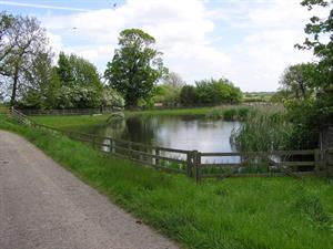 Farm_Pond._-_geograph.org.uk_-_178101.jpg