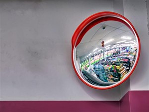shutterstock682672282w600.jpg