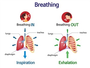 shutterstock420501241 breathing.jpg