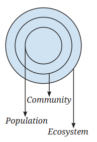 Screenshot 2025-11-29 123728.png