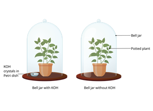 1D0A0D0B5D181D183D180D1811w1000 (1).png