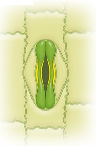 Screenshot 2021-06-05 085245.jpg