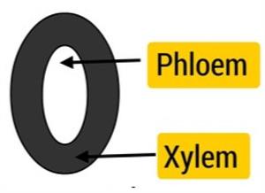 Screenshot 2021-06-05 221838.jpg