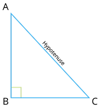 Theoremillus.png