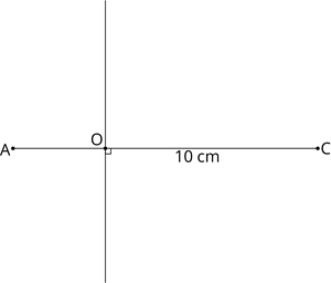 YCIND_260805_8396_Quadrilaterals2_16.png