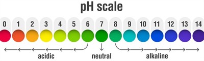phw923.jpg