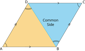 YCIND_260802_8397_Quadrilaterals3_14.png