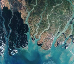 Sundarbans_web_ESA362980.jpg