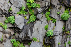 pexels-fahad-alani-789729-17461981.jpg