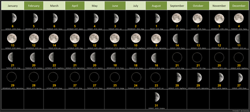 2025_Lunar_Calendar.png