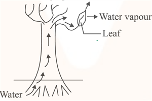 Screenshot 2024-06-29 142221.png