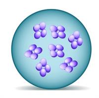 Screenshot 2022-01-22 153858.jpg