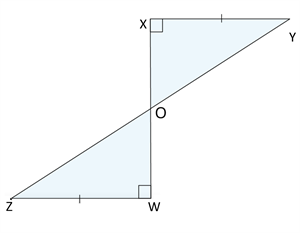 AR3-tria50 - Copy (3).png
