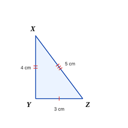 triangle-xyz-no-angle.png