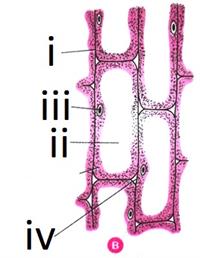 Screenshot 2021-04-23 091112.jpg